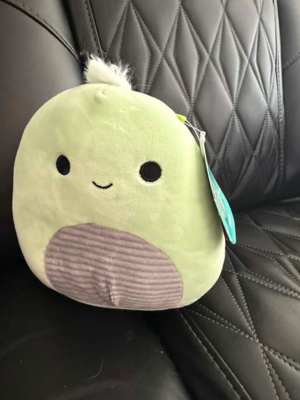 NWT squishmallow